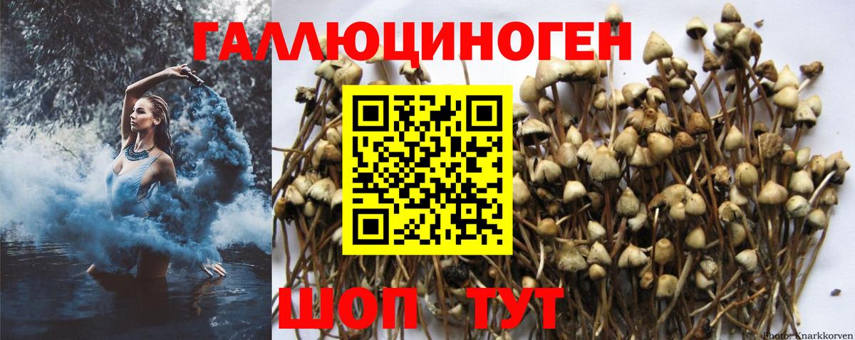 Псилоцибиновые грибы мухоморы  Галлюциногенные грибы прущие грибы  Нурлат  Вход с VPN 